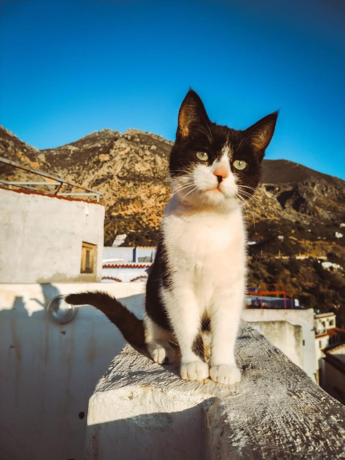 Riad La Santa Chefchaouen Eksteriør bilde